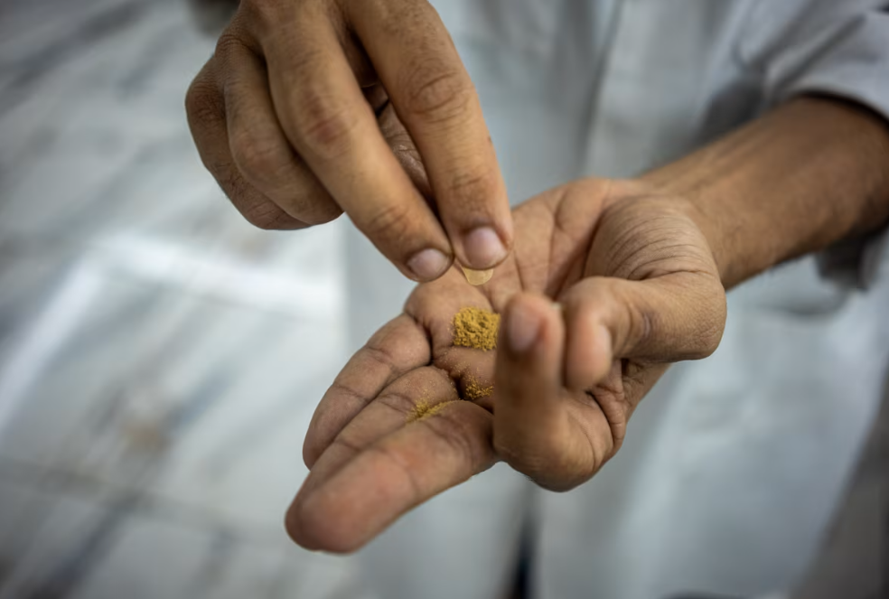 Ibogaine Treatment studies underway